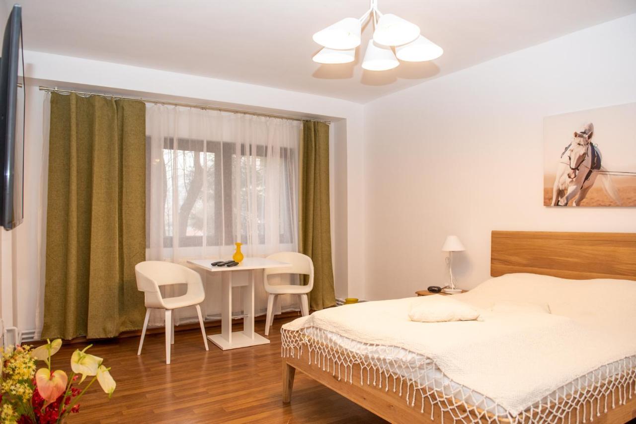 Classic Apartment Near The City Center Cluj-Napoca Exterior foto